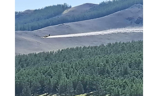 Богд ууланд хөнөөлт шавж устгал эхэллээ