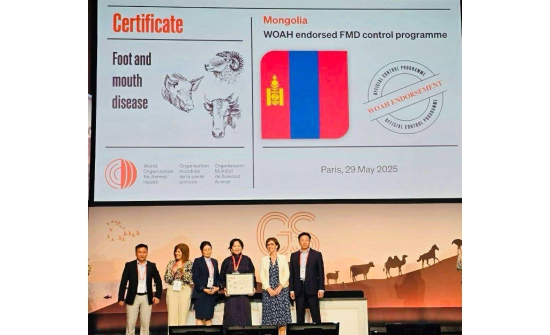 Монголд хэрэгжүүлэх шүлхий өвчний хөтөлбөрийг олон улсад батламжлав