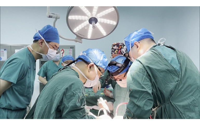 Хятад: 71 настай хүнд гахайн бөөр шилжүүлэн суулгалаа