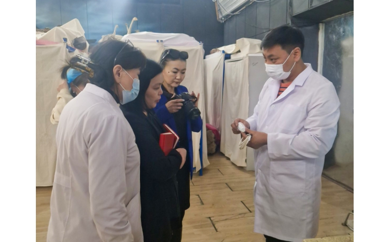 Байгалийн түүхийн музейн ажилчдад үзмэрийн хадгалалт, хамгаалалтын сургалт оров